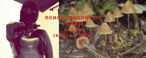 эйфоретик Абаза