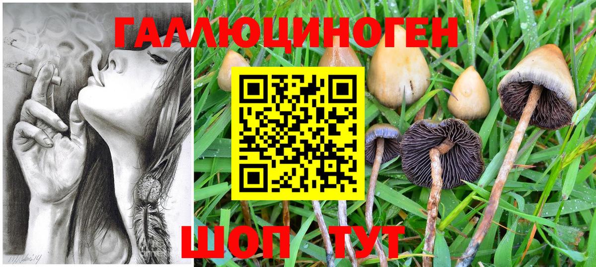 Псилоцибиновые грибы ЛСД  Вход с VPN  Камень-на-Оби 